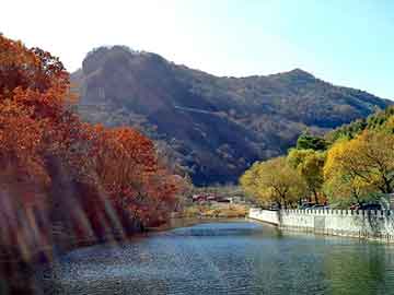 宋慧乔，从荧幕女神到生活战士