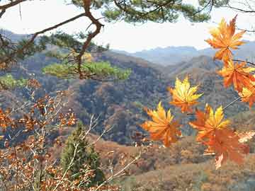 春节增重，陈乔恩的坦诚与自信，打破身材刻板印象